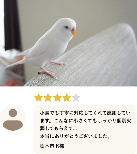 3枚目
