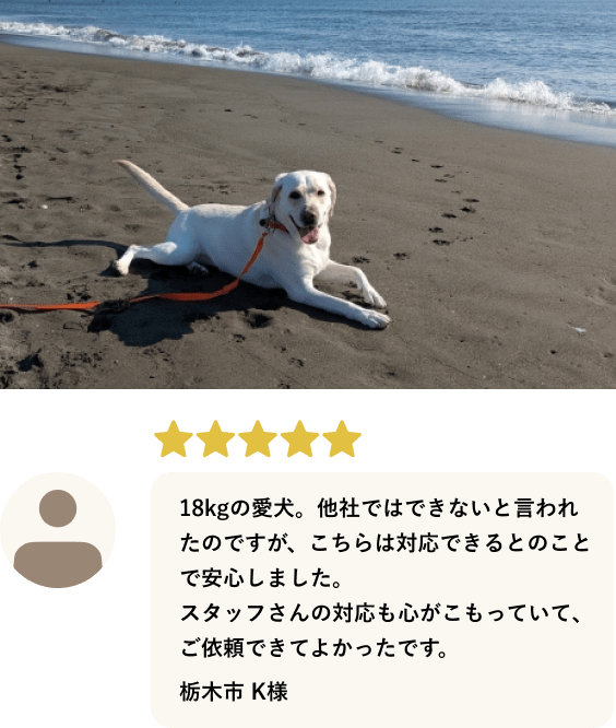 2枚目